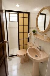 Pandan Valley (D21), Condominium #611946301